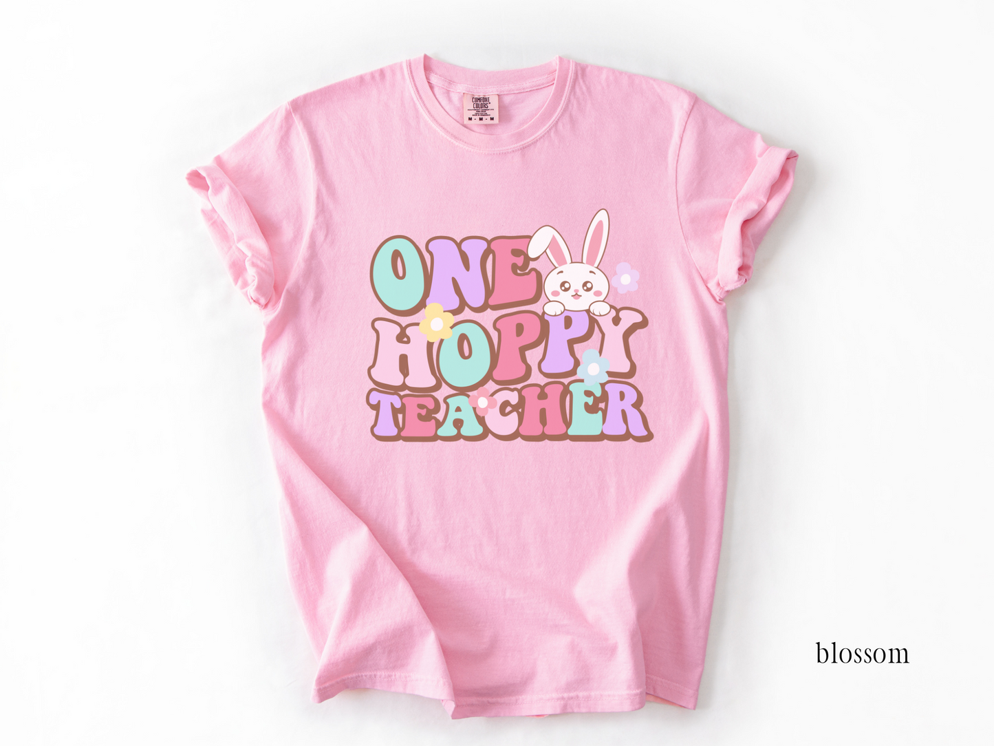 Comfort Colors Spring Teacher Shirt, One Hoppy Teacher Bunny Tee, Teacher Easter T-Shirt
