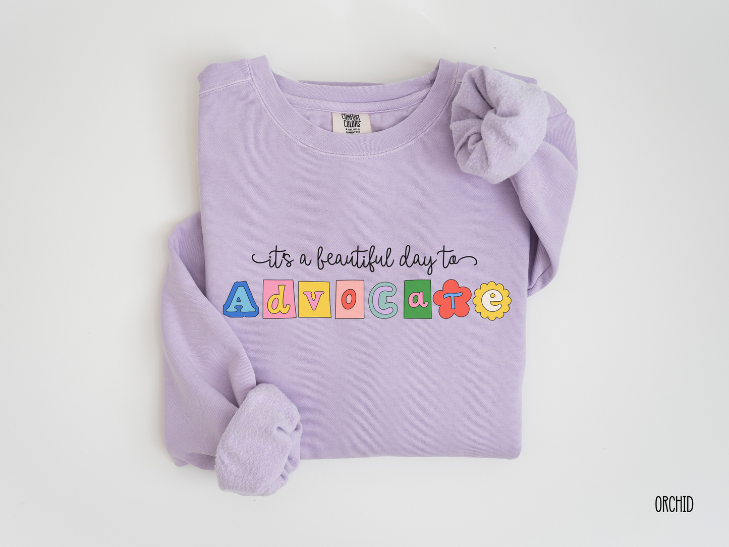 It's a Beautiful Day to Advocate Sweatshirt, Comfort Colors Advocacy Crewneck, inclusion and advocacy apparel, Special Education