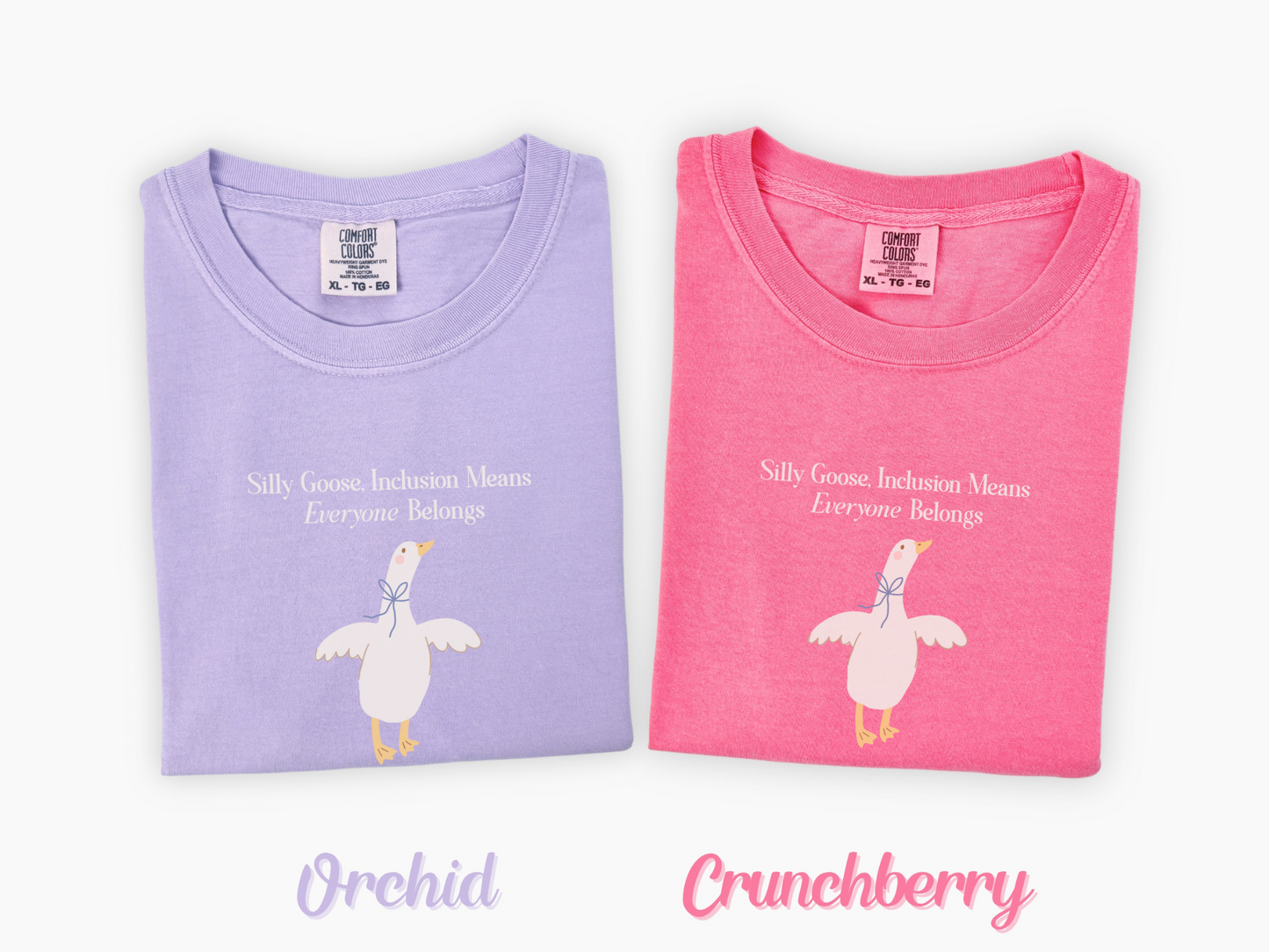 Goose Inclusion T-Shirt, Everyone Belongs Tee for Teachers, Therapists, Neurodiversity Advocates, Autism Acceptance T-Shirt