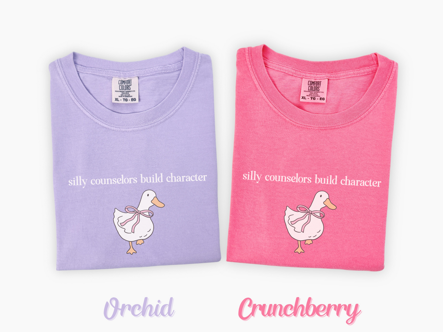 Silly Counselors Build Character Shirt, Cute Goose School Counselor Tee, Funny Counselor Gift for Women, Counselor Appreciation Shirt