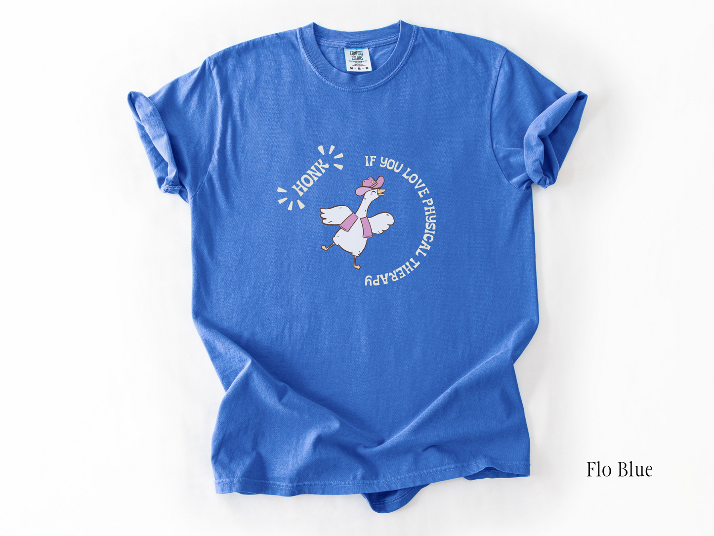 Honk If You Love Physical Therapy Shirt, Goose Physical Therapy T-Shirt, Cute Gift for Physical Therapists DTP PTA