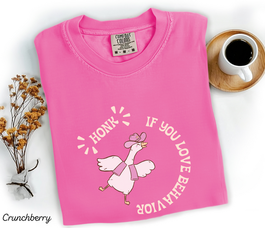 Honk If You Love Behavior Shirt, Goose Behavior Therapy T-Shirt, Cute Gift for ABA Therapists BT Behavior Analysts