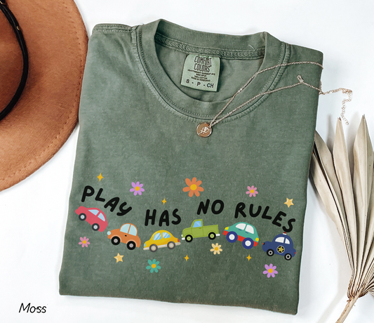 Play Has No Rules, Inclusion and Advocacy Tee, Autism Acceptance Shirt, Gift for Teacher Therapist Counselor, Comfort Colors Tee