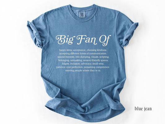 Big Fan Of Inclusion Shirt, Neurodiversity Affirming Tee, Autism Acceptance Shirt, Special Education Teacher Shirt, Comfort Colors