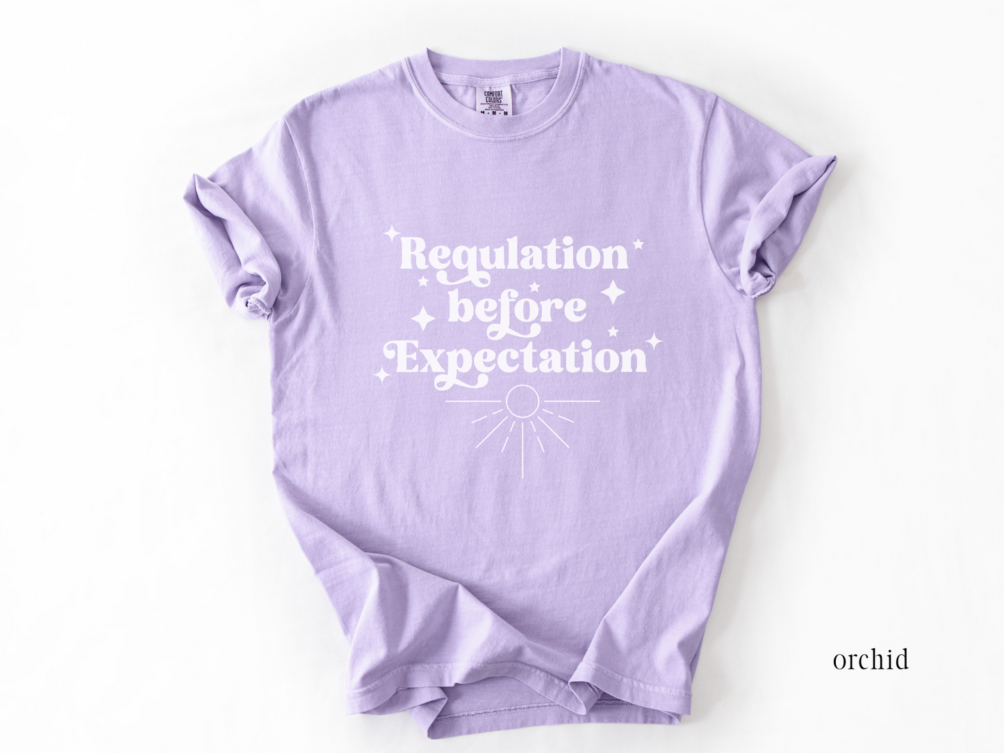 Regulation Before Expectation Shirt, RBT ABA, SLP, OT, Sped Teacher Shirt, Comfort Colors® 1717