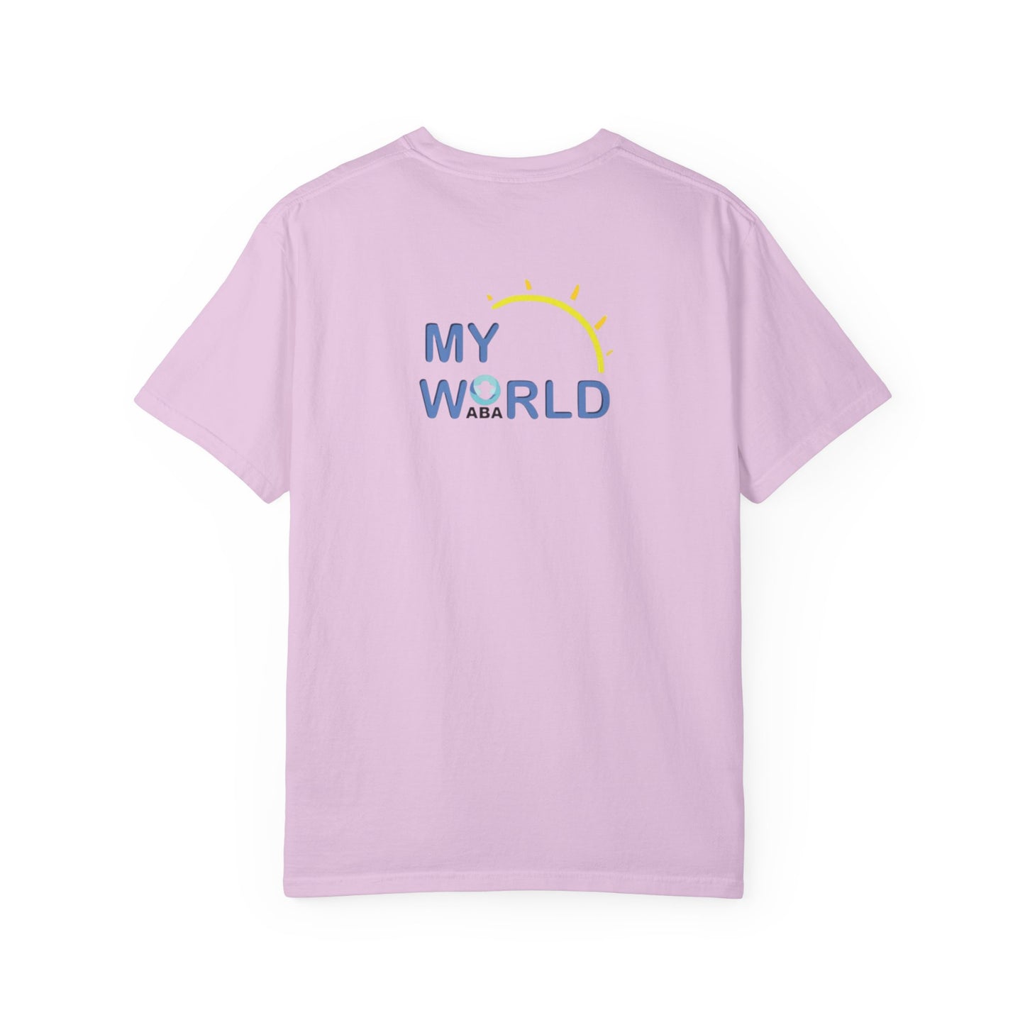 CUSTOM Regulation Before Expectation BCBA shirt, RBT Shirt, ABA Shirt, sped Teacher Shirt, Comfort Colors® 1717