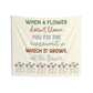 When a Flower Doesn't Bloom Tapestry | Inclusion Classroom Decor | Special Education Wall Hanging | Teacher Gift | Advocacy Quote