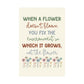 ABA Clinic Decor, When a flower doesn't bloom, Therapist Wall Art, ABA poster, Educator Quotes, Matte Vertical Posters