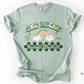 Checkered St. Patrick's Day Social Work T-shirt, One Lucky Social Worker Apparel, LCSW Tee, Comfort Colors 1717