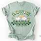 Checkered St. Patrick's Day OT T-shirt, One Lucky Occupational Therapist Apparel, Occupational Therapy Tee, Comfort Colors 1717