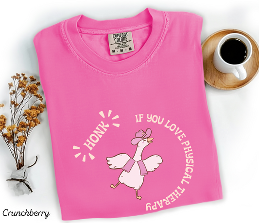 Honk If You Love Physical Therapy Shirt, Goose Physical Therapy T-Shirt, Cute Gift for Physical Therapists DTP PTA