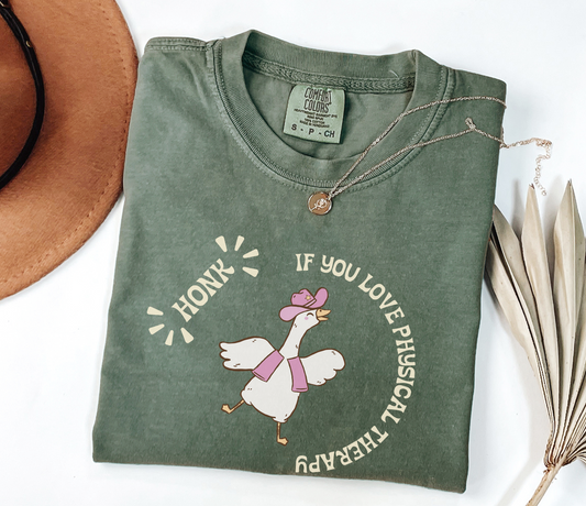 Honk If You Love Physical Therapy Shirt, Goose Physical Therapy T-Shirt, Cute Gift for Physical Therapists DTP PTA