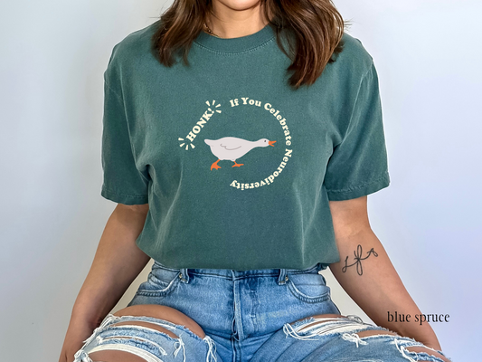 Honk if You Celebrate Neurodiversity T-Shirt, Funny Goose Inclusion and Acceptance Tee, Special Education Teacher, Gift for Advocate