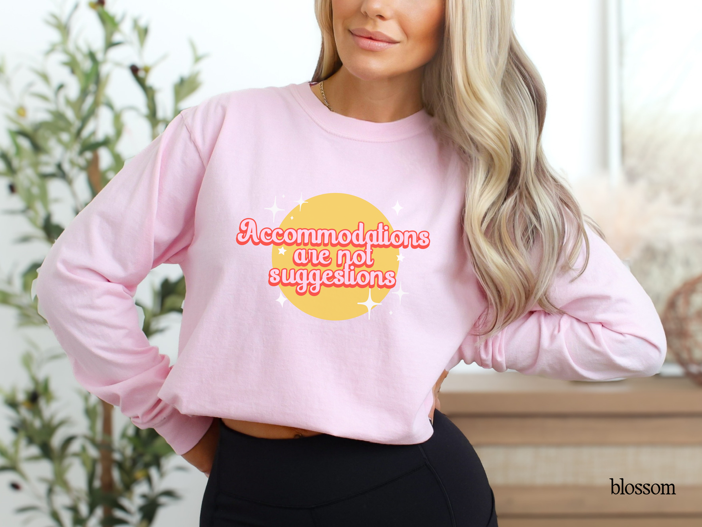 Accommodations Are Not Recommendations Long Sleeve T-Shirt, Teacher Advocacy Shirt, Special Education Apparel, Inclusive Classroom Tee