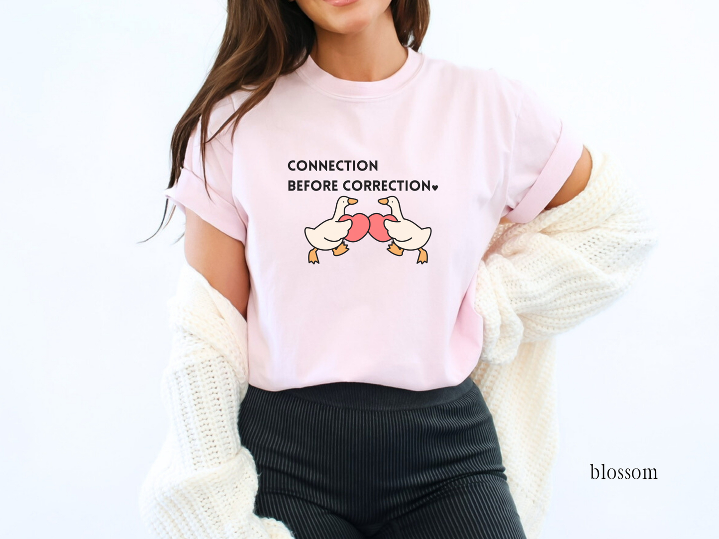 Valentines Day Advocacy Inclusion Tee, Connection Before Correction Goose Tee, Gift for Teacher Therapist Advocate