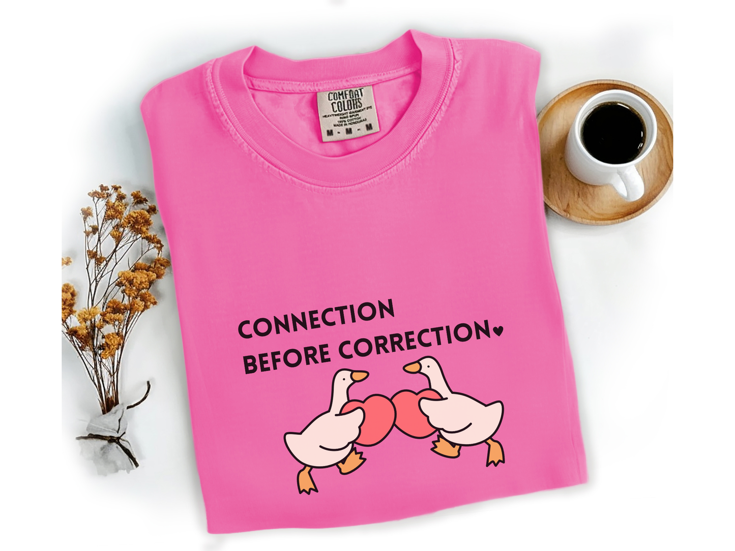 Valentines Day Advocacy Inclusion Tee, Connection Before Correction Goose Tee, Gift for Teacher Therapist Advocate