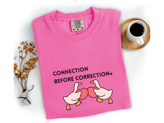 Valentines Day Advocacy Inclusion Tee, Connection Before Correction Goose Tee, Gift for Teacher Therapist Advocate