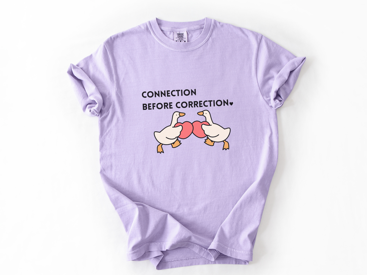 Valentines Day Advocacy Inclusion Tee, Connection Before Correction Goose Tee, Gift for Teacher Therapist Advocate