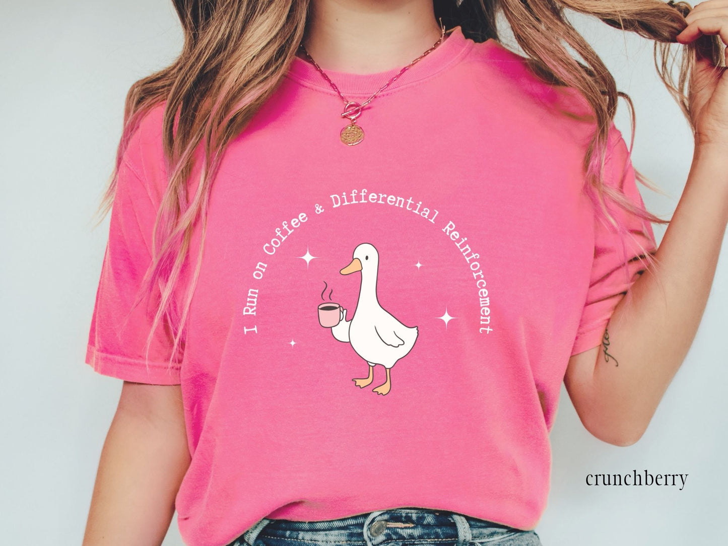 Funny ABA Goose T-shirt, Reinforcement and Coffee, Gift for Rbt Bcba