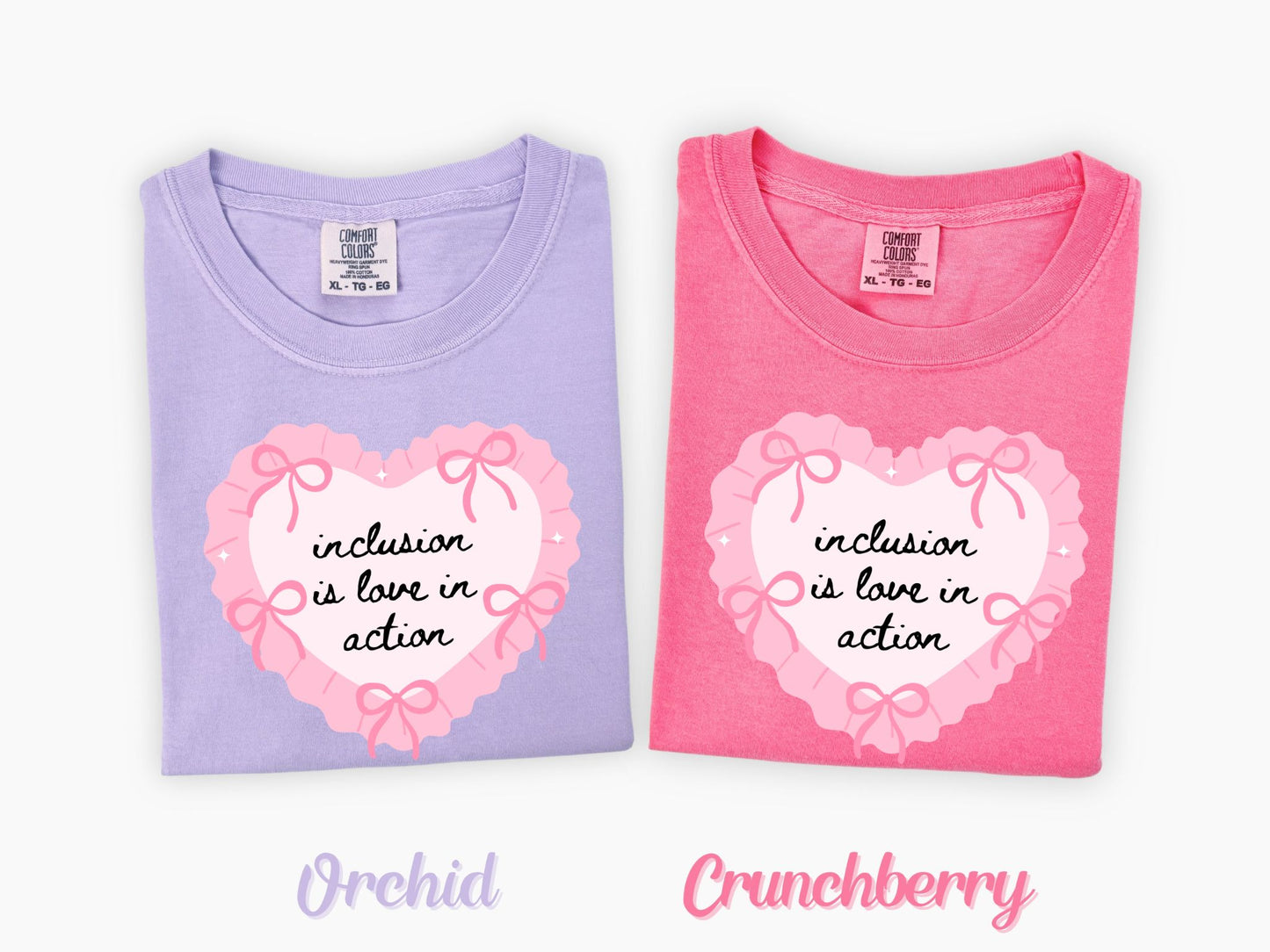 Inclusion Is Love in Action Valentine Shirt, Inclusion and Advocacy Graphic Tee
