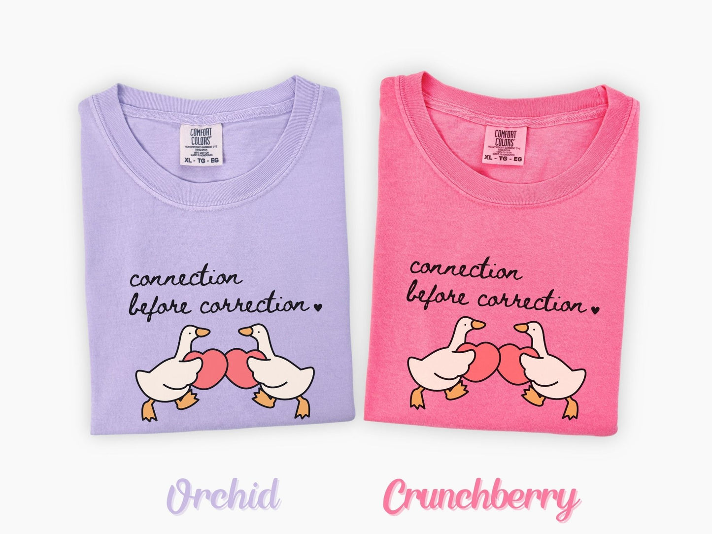 Valentines Day Advocacy Inclusion Tee, Connection Before Correction Goose Tee, Gift for Teacher Therapist Advocate