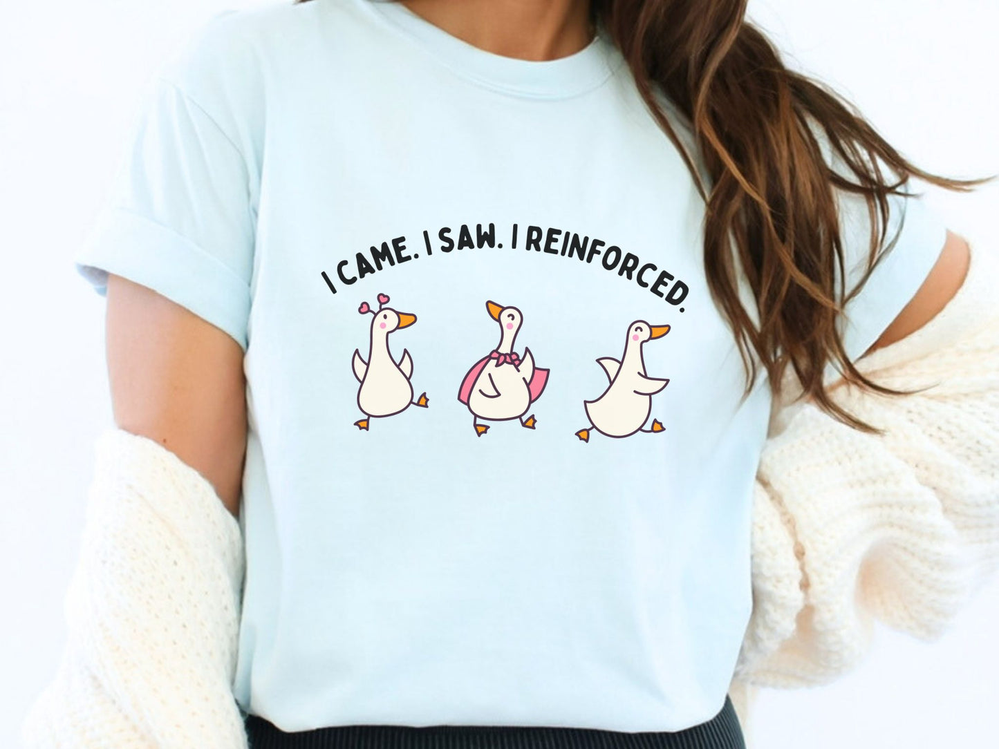 I Came. I Saw. I Reinforced Tee,  ABA Goose Graphic Tee