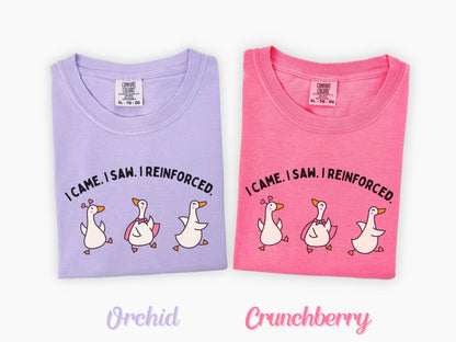 I Came. I Saw. I Reinforced Tee,  ABA Goose Graphic Tee