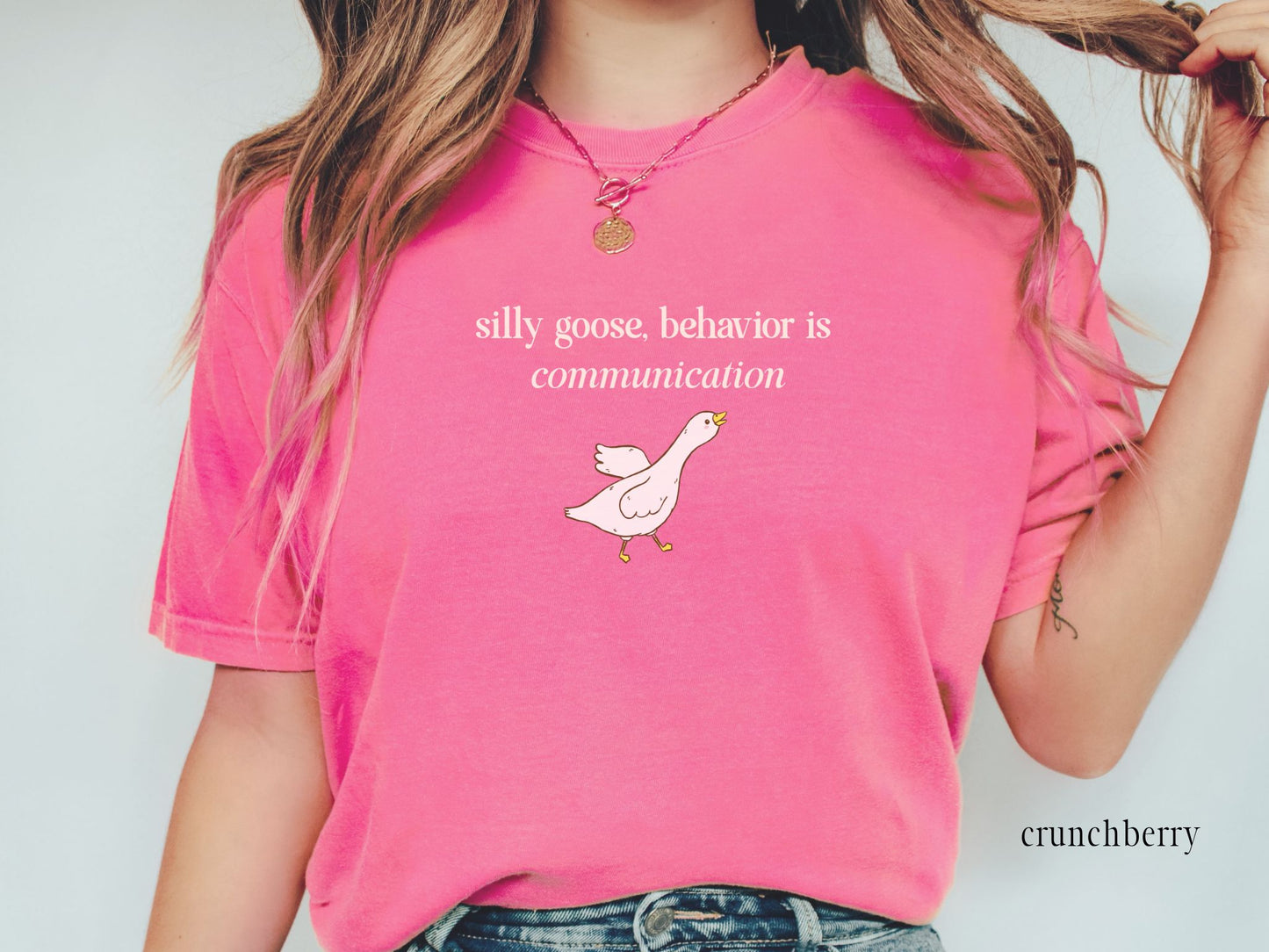 Silly Goose Behavior Communication Shirt, Funny Bcba Rbt Tee, Aba Therapist Gift, Sped Teacher Sweatshirt, School Psychologist Slp Ot Shirt