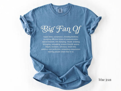 Big Fan Of Neurodiversity Shirt, Neurodiversity Affirming Tee, Autism Acceptance Shirt, Special Education Teacher Shirt, Comfort Colors