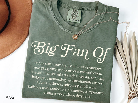 Big Fan Of Inclusion Shirt, Neurodiversity Affirming Tee, Autism Acceptance Shirt, Special Education Teacher Shirt, Comfort Colors